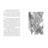 copy of LIMOEIRO REAL volume II, Outubro 2022
