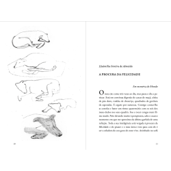 LIMOEIRO REAL volume VIII, 2025